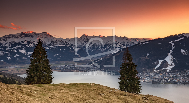 frei wählbarer Bildausschnitt für Ihr Bild auf Kissen
