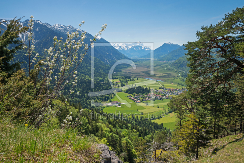 frei wählbarer Bildausschnitt für Ihr Bild auf Kissen