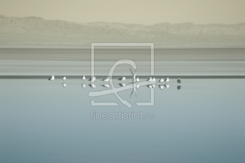 frei wählbarer Bildausschnitt für Ihr Bild auf Kissen