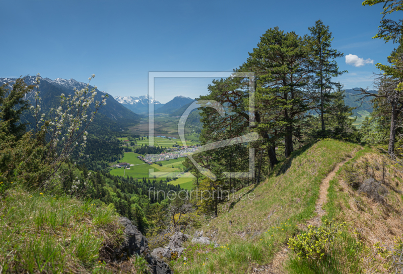 frei wählbarer Bildausschnitt für Ihr Bild auf Kissen