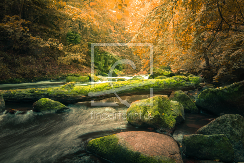 frei wählbarer Bildausschnitt für Ihr Bild auf Kissen