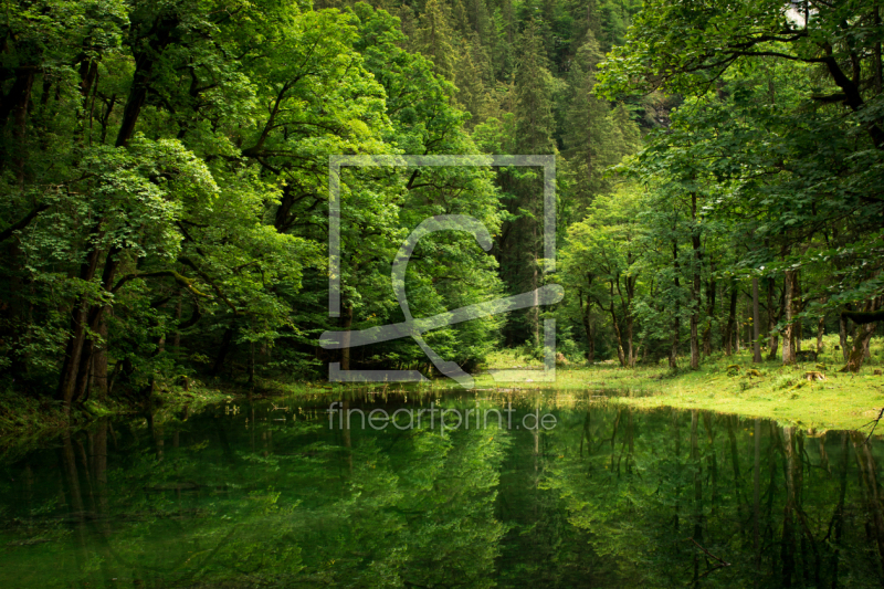 frei w&auml;hlbarer Bildausschnitt f&uuml;r Ihr Bild auf Kissen