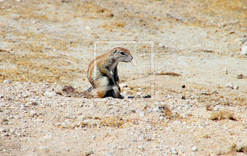 frei w&auml;hlbarer Bildausschnitt f&uuml;r Ihr Bild auf Kissen