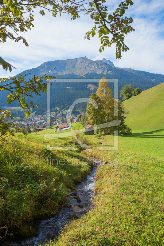 frei wählbarer Bildausschnitt für Ihr Bild auf Kissen