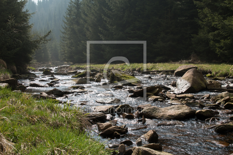 frei wählbarer Bildausschnitt für Ihr Bild auf Kissen