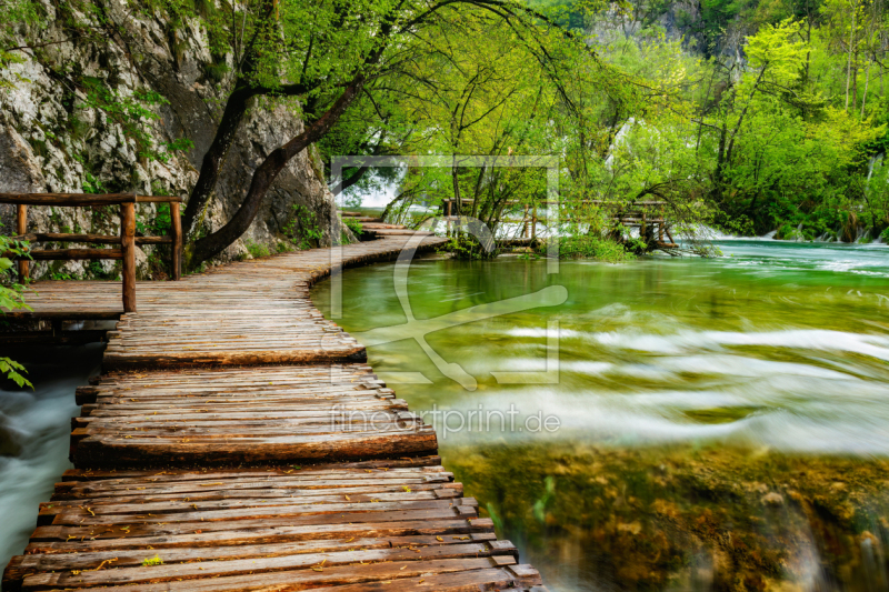 frei wählbarer Bildausschnitt für Ihr Bild auf Kissen