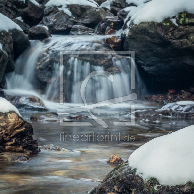 frei w&auml;hlbarer Bildausschnitt f&uuml;r Ihr Bild auf Kissen