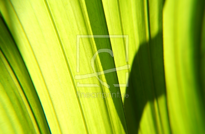 frei wählbarer Bildausschnitt für Ihr Bild auf Kissen