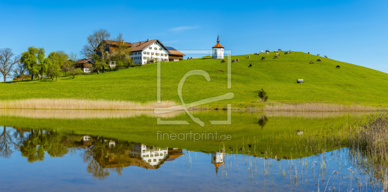 frei wählbarer Bildausschnitt für Ihr Bild auf Kissen