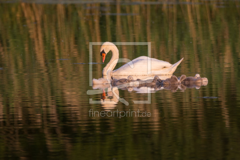 frei w&auml;hlbarer Bildausschnitt f&uuml;r Ihr Bild auf Kissen
