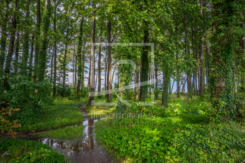 frei wählbarer Bildausschnitt für Ihr Bild auf Kissen