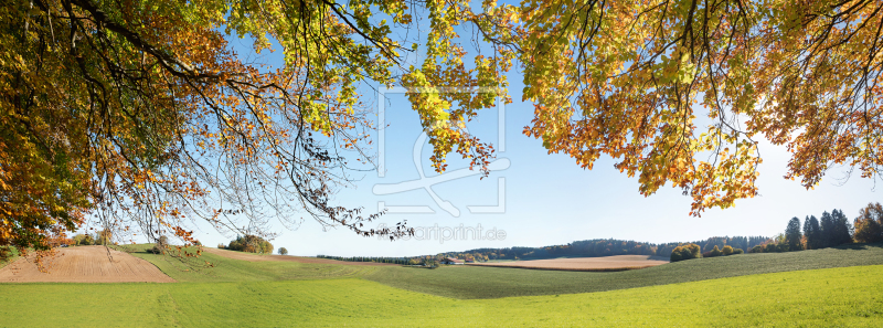 frei wählbarer Bildausschnitt für Ihr Bild auf Kissen