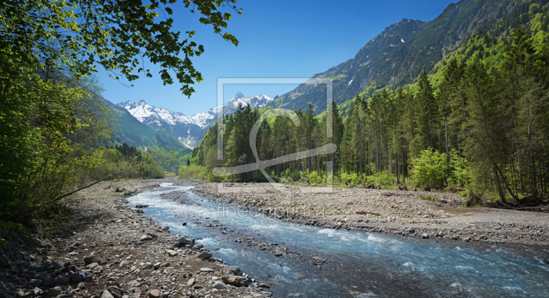 frei wählbarer Bildausschnitt für Ihr Bild auf Kissen