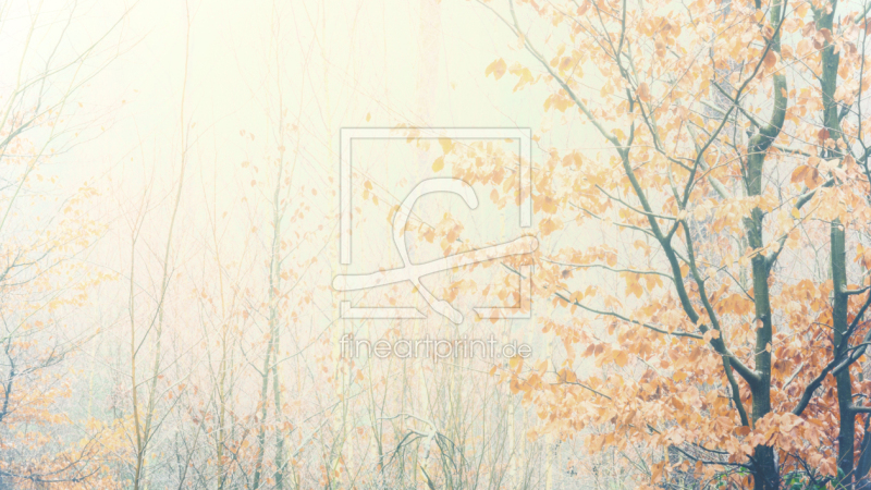 frei wählbarer Bildausschnitt für Ihr Bild auf Kissen