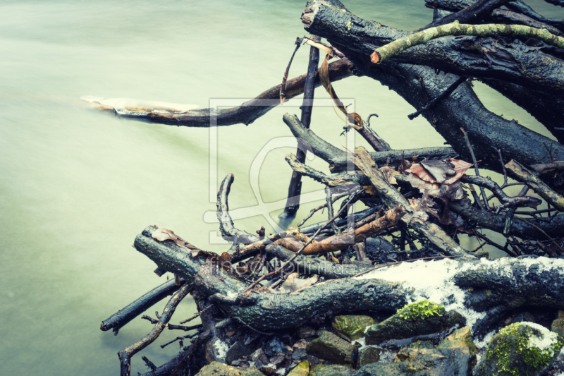 frei w&auml;hlbarer Bildausschnitt f&uuml;r Ihr Bild auf Kissen