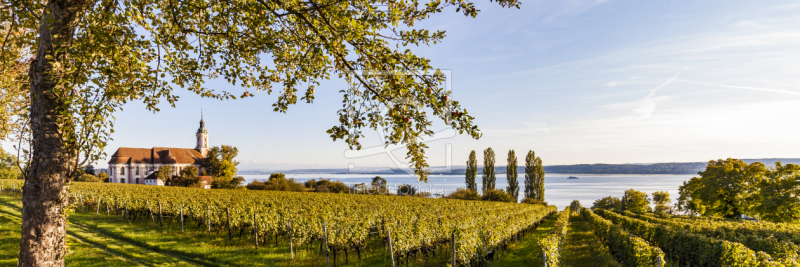 frei wählbarer Bildausschnitt für Ihr Bild auf Kissen