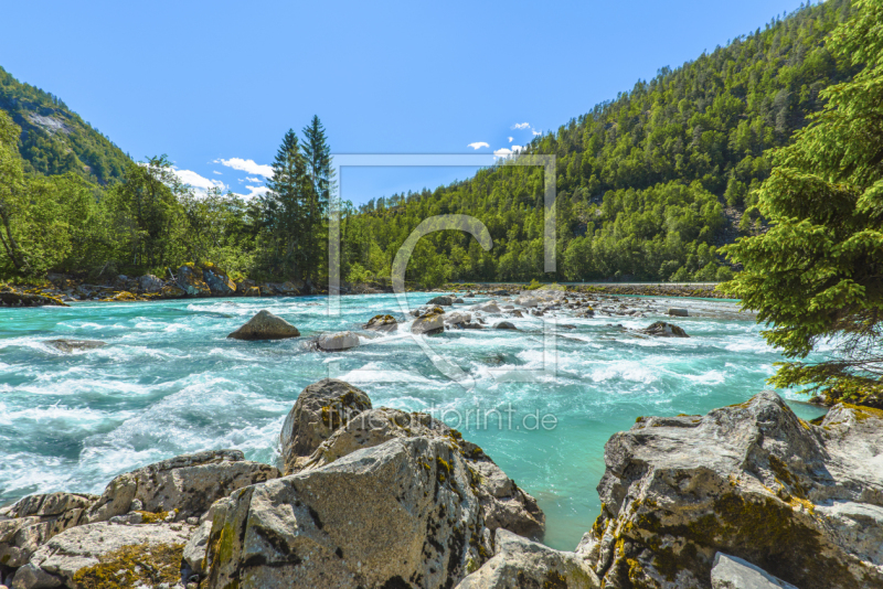 frei wählbarer Bildausschnitt für Ihr Bild auf Kissen