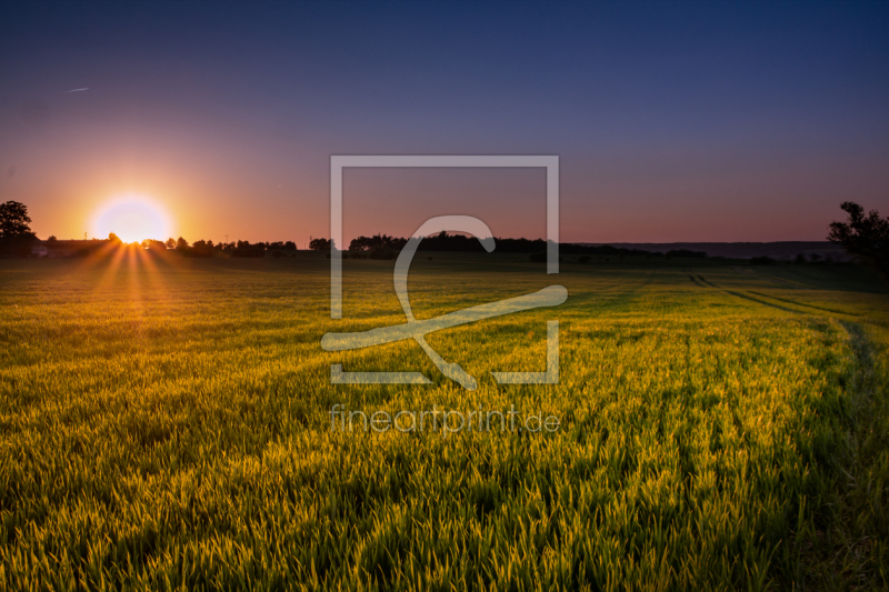 frei w&auml;hlbarer Bildausschnitt f&uuml;r Ihr Bild auf Kissen