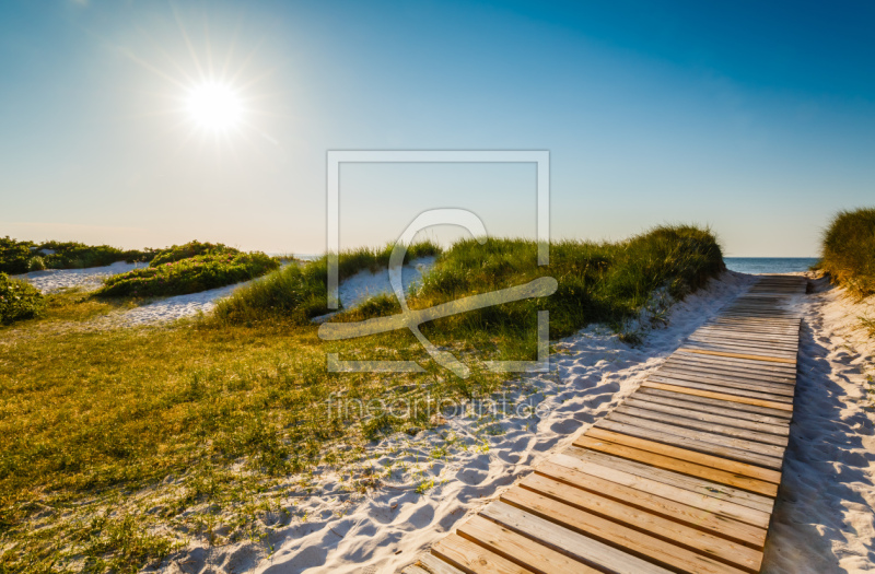frei wählbarer Bildausschnitt für Ihr Bild auf Kissen