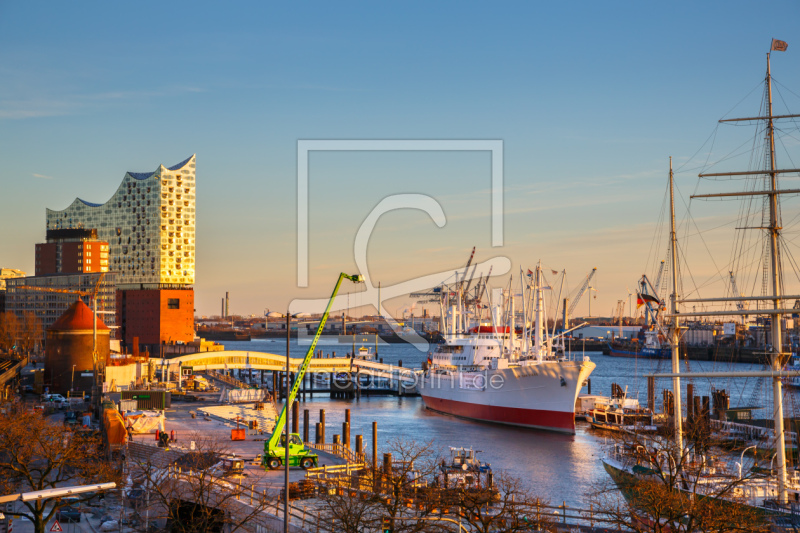 frei w&auml;hlbarer Bildausschnitt f&uuml;r Ihr Bild auf Kissen