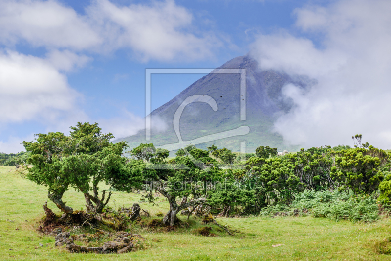frei w&auml;hlbarer Bildausschnitt f&uuml;r Ihr Bild auf Kissen