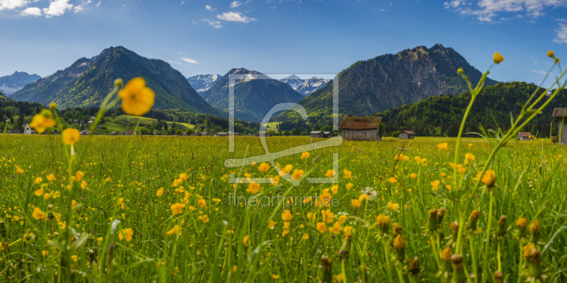 frei wählbarer Bildausschnitt für Ihr Bild auf Kissen