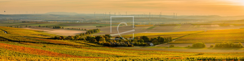 frei wählbarer Bildausschnitt für Ihr Bild auf Kissen