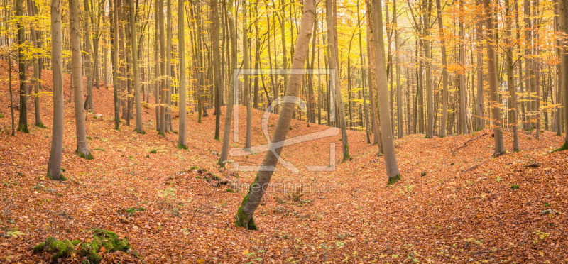 frei wählbarer Bildausschnitt für Ihr Bild auf Kissen