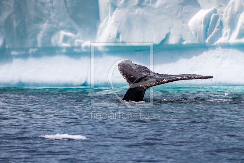 frei wählbarer Bildausschnitt für Ihr Bild auf Kissen