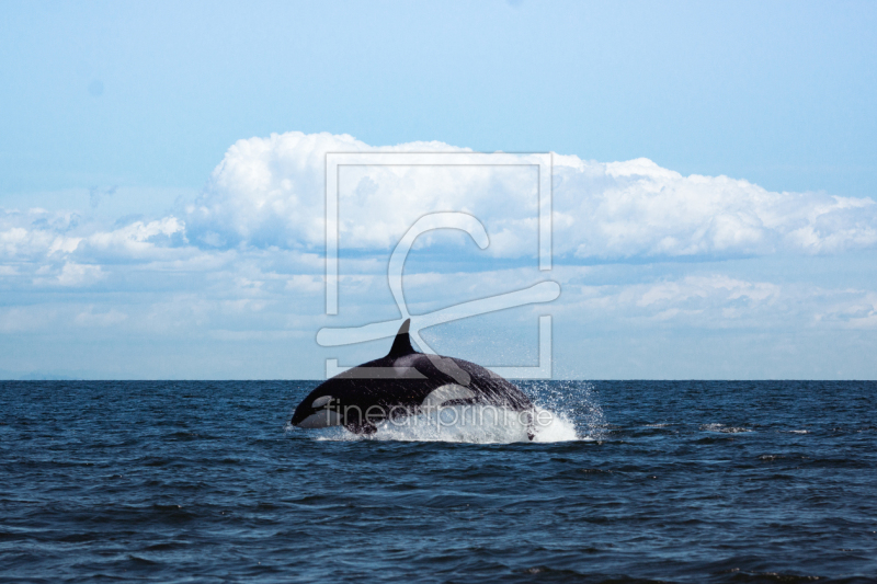 frei w&auml;hlbarer Bildausschnitt f&uuml;r Ihr Bild auf Kissen