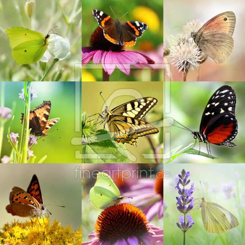 frei wählbarer Bildausschnitt für Ihr Bild auf Kissen