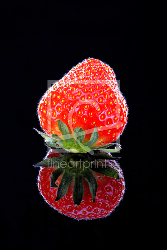 frei w&auml;hlbarer Bildausschnitt f&uuml;r Ihr Bild auf Kissen