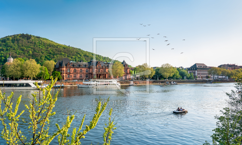 frei wählbarer Bildausschnitt für Ihr Bild auf Kissen