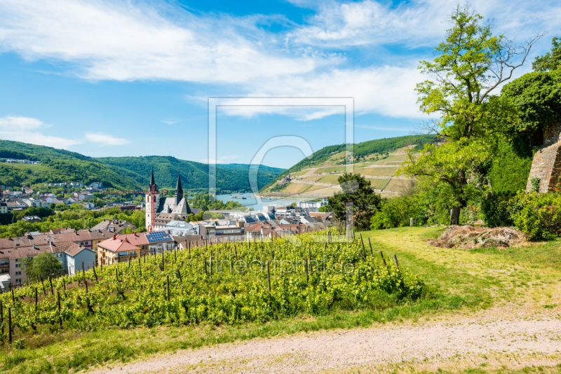 frei wählbarer Bildausschnitt für Ihr Bild auf Kissen