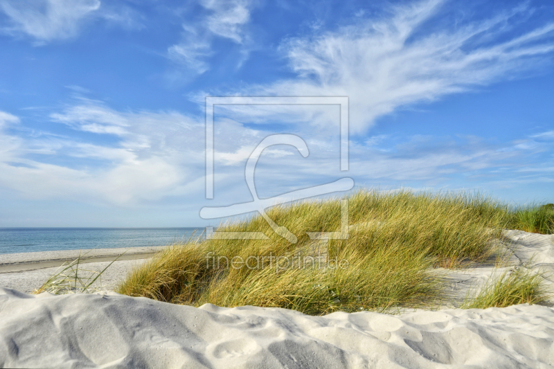frei wählbarer Bildausschnitt für Ihr Bild auf Kissen