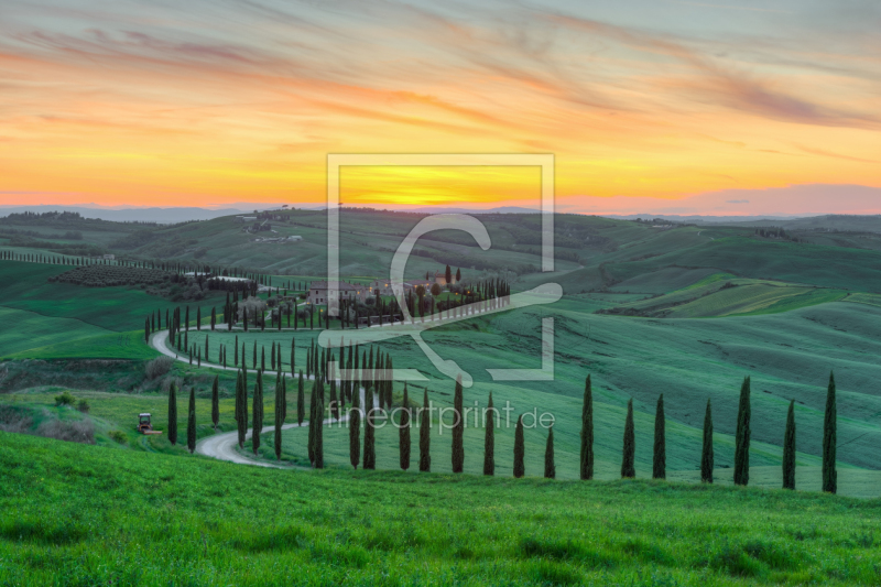 frei w&auml;hlbarer Bildausschnitt f&uuml;r Ihr Bild auf Kissen