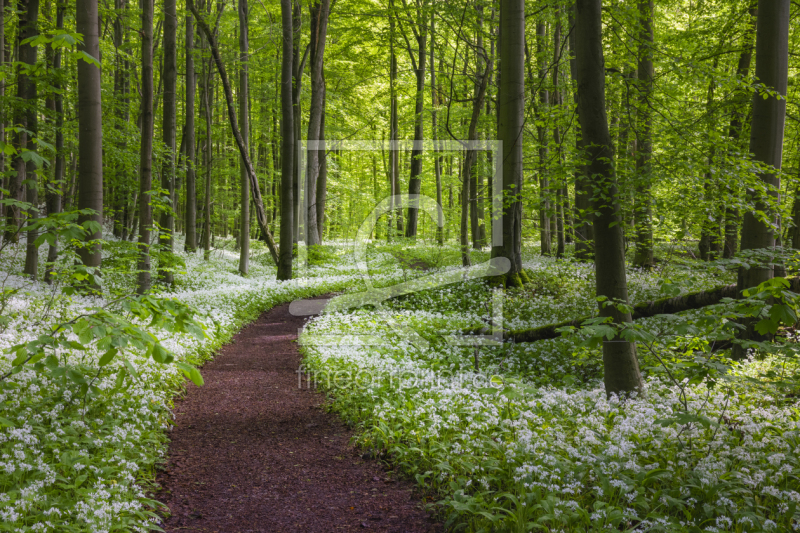 frei wählbarer Bildausschnitt für Ihr Bild auf Kissen