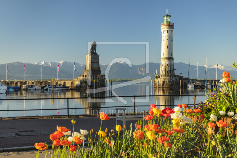 frei wählbarer Bildausschnitt für Ihr Bild auf Kissen