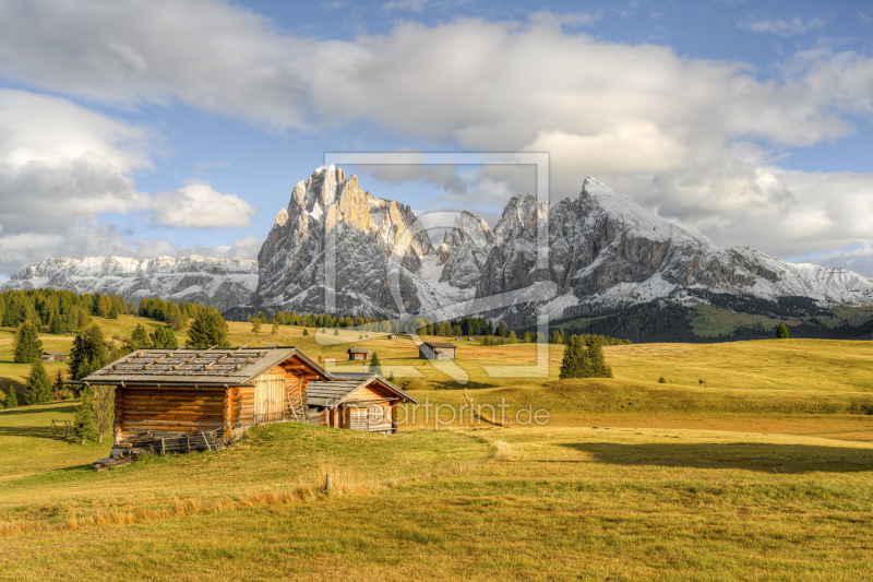 frei wählbarer Bildausschnitt für Ihr Bild auf Kissen