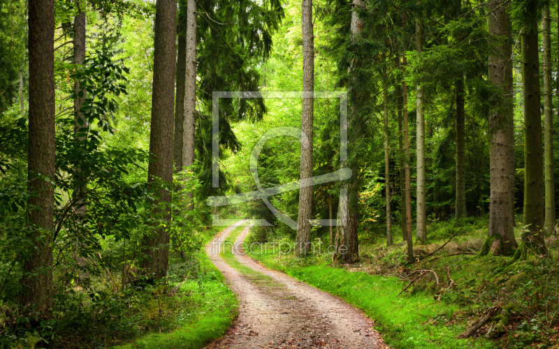 frei wählbarer Bildausschnitt für Ihr Bild auf Kissen