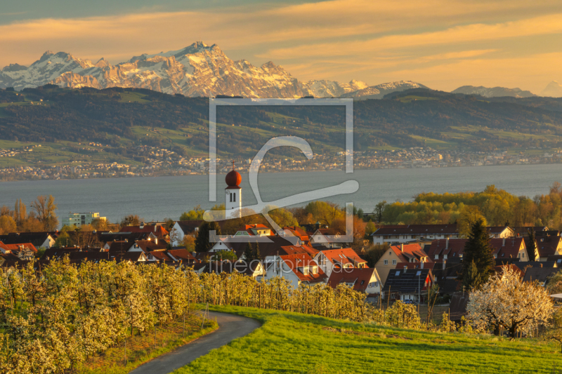 frei wählbarer Bildausschnitt für Ihr Bild auf Kissen
