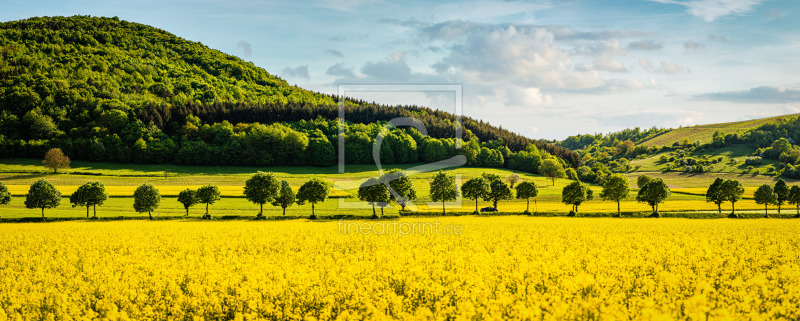 frei wählbarer Bildausschnitt für Ihr Bild auf Kissen