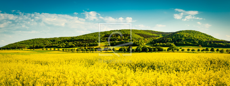 frei wählbarer Bildausschnitt für Ihr Bild auf Kissen