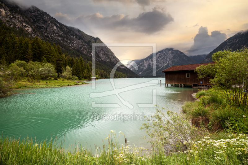 frei wählbarer Bildausschnitt für Ihr Bild auf Kissen