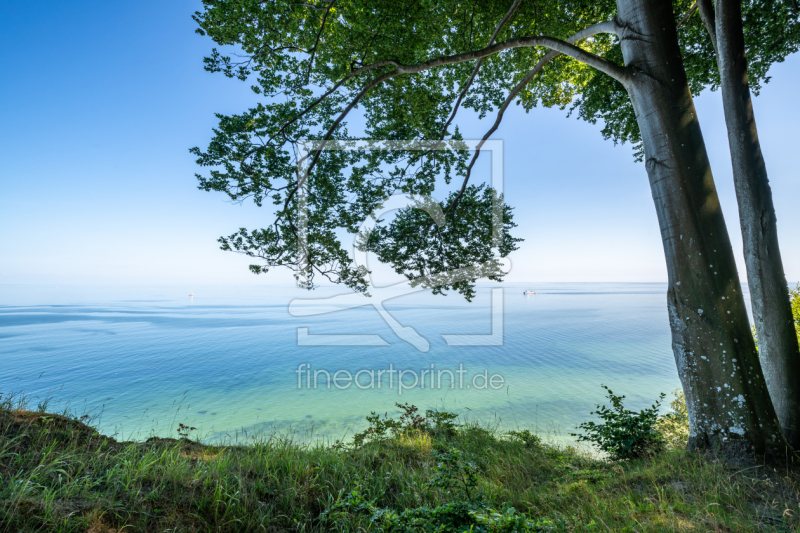 frei wählbarer Bildausschnitt für Ihr Bild auf Kissen