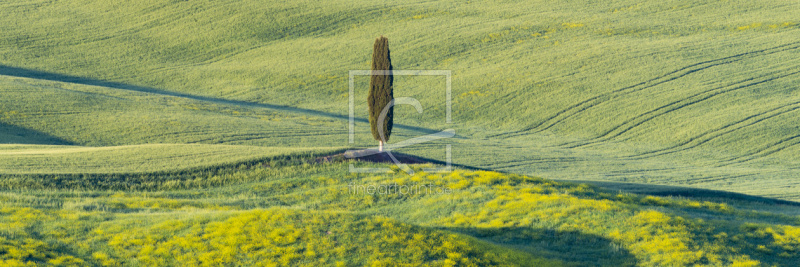 frei w&auml;hlbarer Bildausschnitt f&uuml;r Ihr Bild auf Kissen