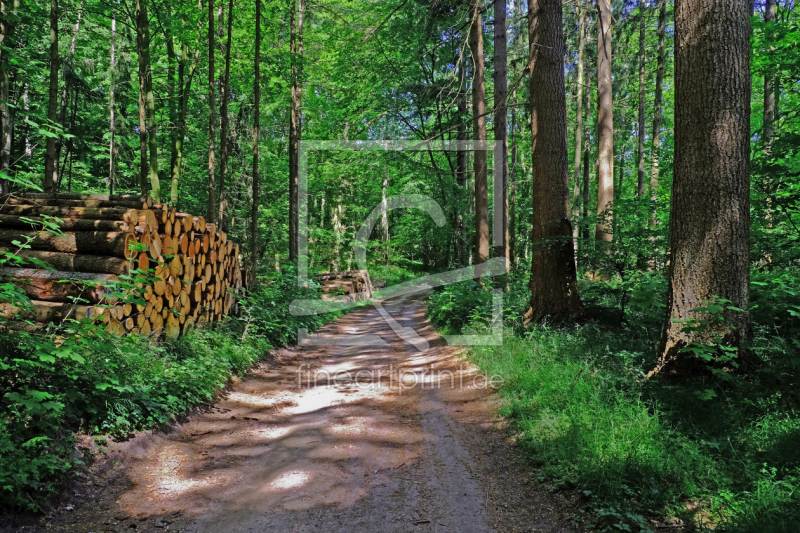 frei wählbarer Bildausschnitt für Ihr Bild auf Kissen
