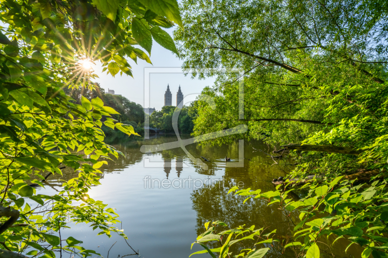 frei wählbarer Bildausschnitt für Ihr Bild auf Kissen