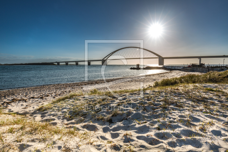 frei w&auml;hlbarer Bildausschnitt f&uuml;r Ihr Bild auf Kissen