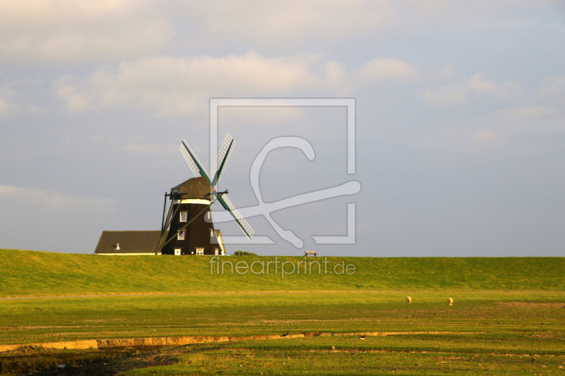 frei w&auml;hlbarer Bildausschnitt f&uuml;r Ihr Bild auf Kissen